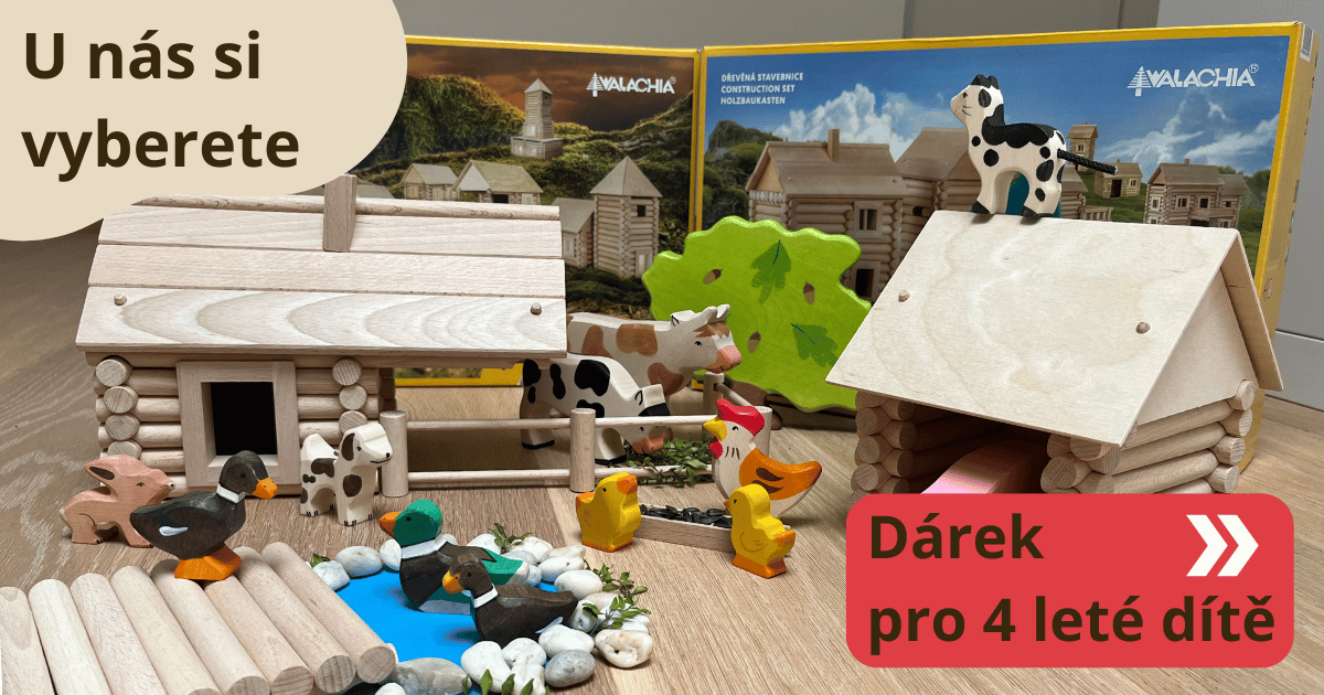 darek-pro-4-lete-dite (1)